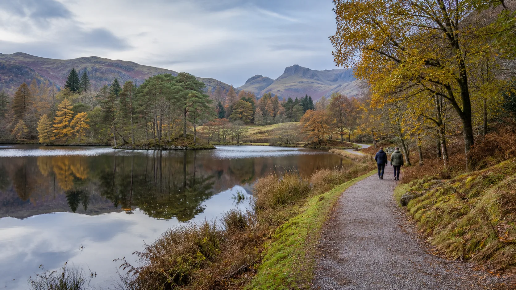 Walkers following the easy Tarn Hows circuit beside autumn woodland